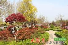 诸城桑莎丽都庄园_实景图_4