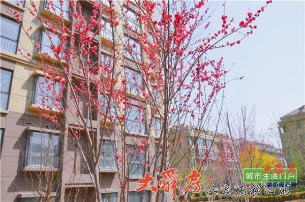 诸城桑莎丽都庄园_实景图_6