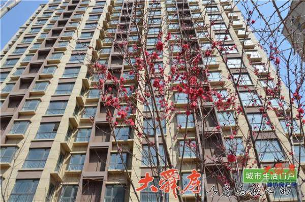 诸城桑莎丽都庄园_实景图_7