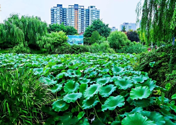 济南天鸿万象东方_小区配套_4