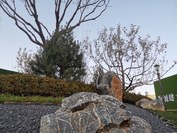 吉泰紫樾台_实景图_2