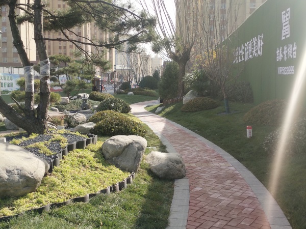 吉泰紫樾台_实景图_4