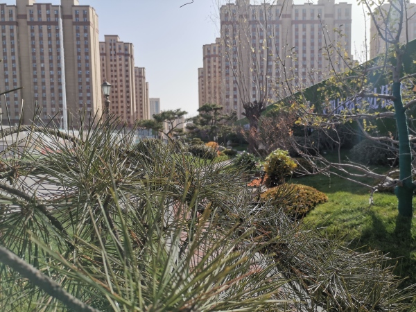 吉泰紫樾台_实景图_5