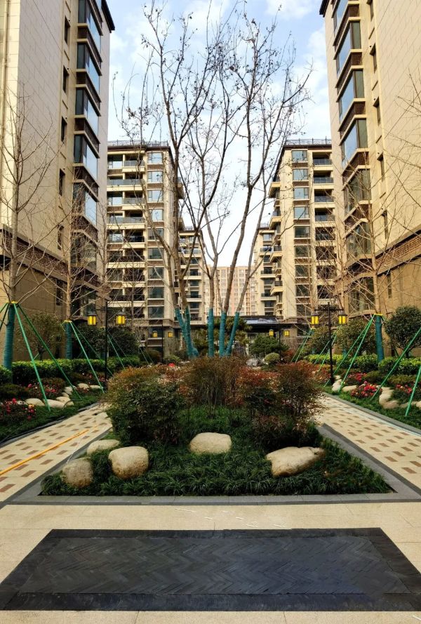 邦泰天璞_实景图_9