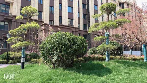 澳城花园_项目现场_4