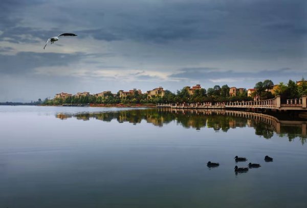 深业堤亚纳湾_实景图_2