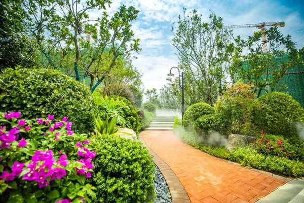 碧桂园荟隽棠_实景图_5