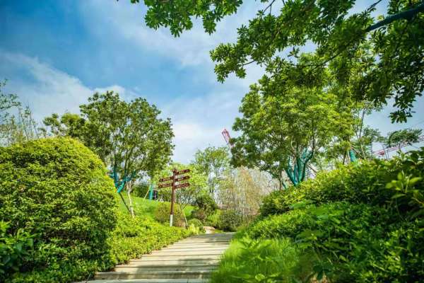 碧桂园荟隽棠_实景图_9