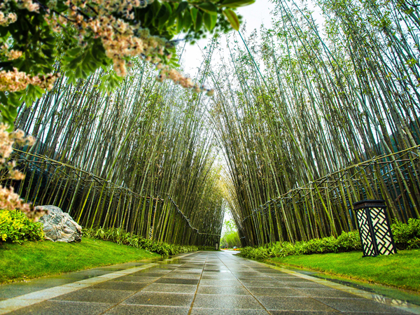 合肥新滨湖孔雀城_实景图_5