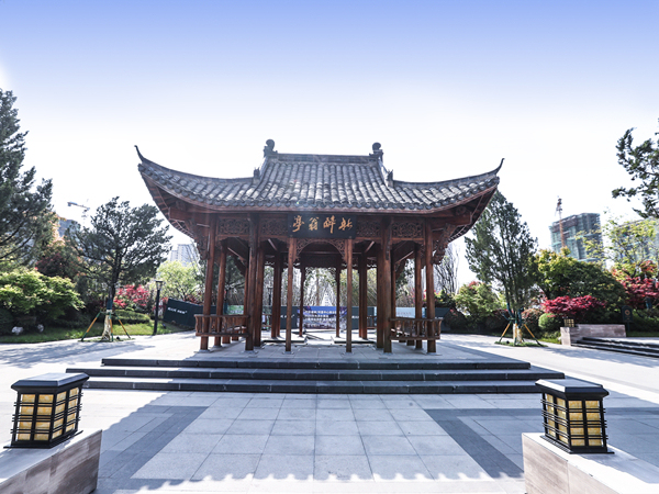 合肥新滨湖孔雀城_实景图_8