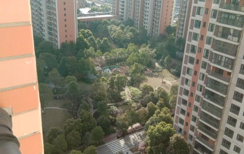 清江锦城四期玥园_小区配套_2