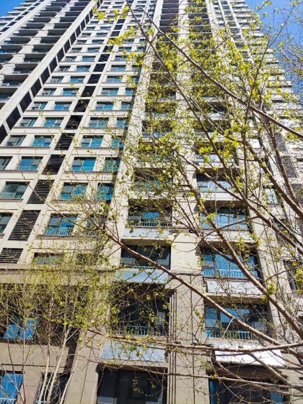 淄博保利华府实景图