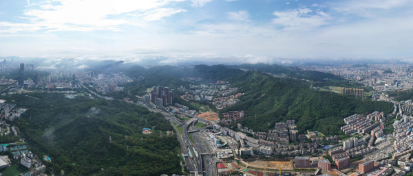 岁宝壹品_实景图_8