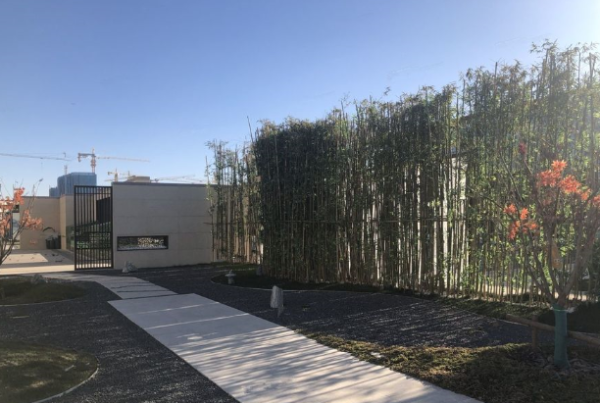 中交雅郡•城东春晓_实景图_16