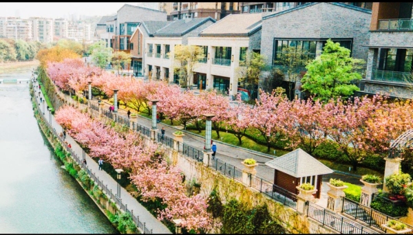 保利凤凰湾_效果图_3