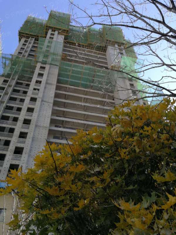 金辉优步学府_项目现场_2