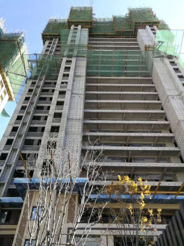 金辉优步学府_项目现场_3