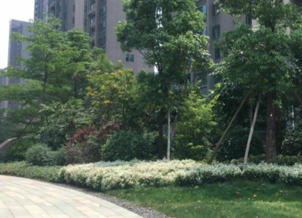 海雅君悦花园_实景图_8