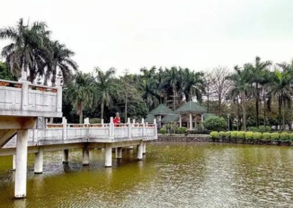 新力帝泊湾_实景图_4