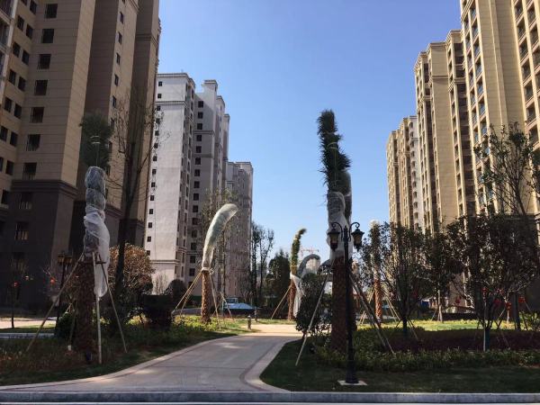 天玺华府_实景图_3