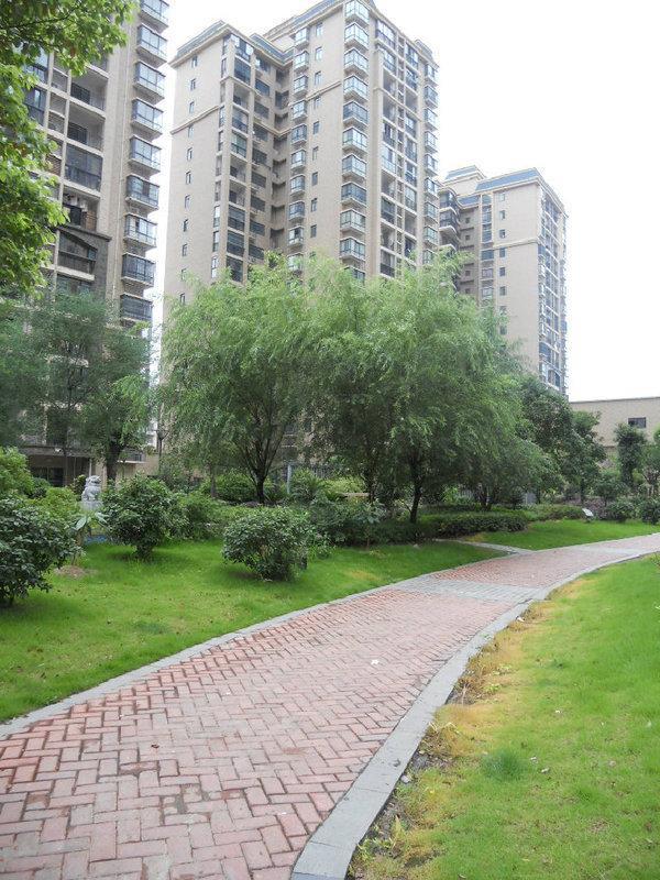 天骄福邸_实景图_2