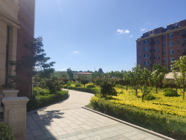 昌邑东方国际_实景图_1