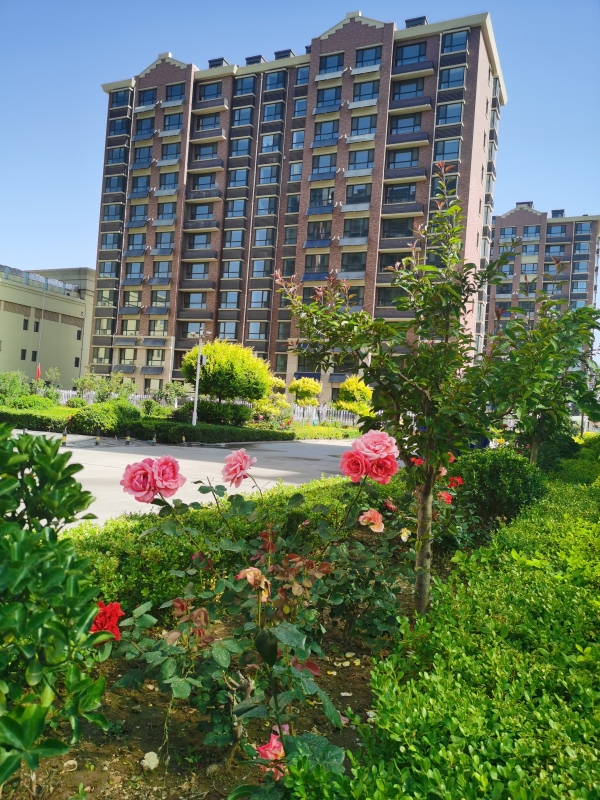 昌邑东方国际_效果图_2