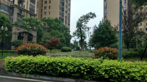 晟通城_实景图_8