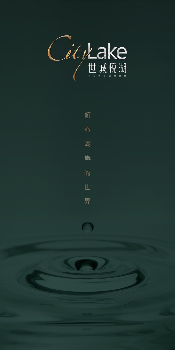 世城悦湖_图文详情