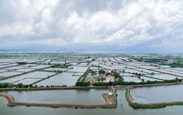 金茂双悦湾_实景图_2