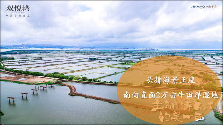 金茂双悦湾_图文详情