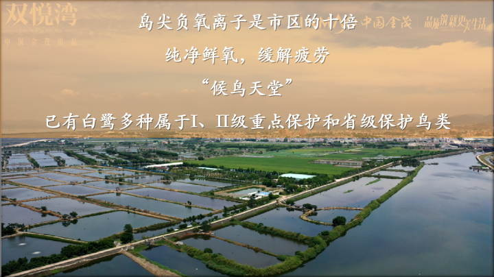 金茂双悦湾_图文详情