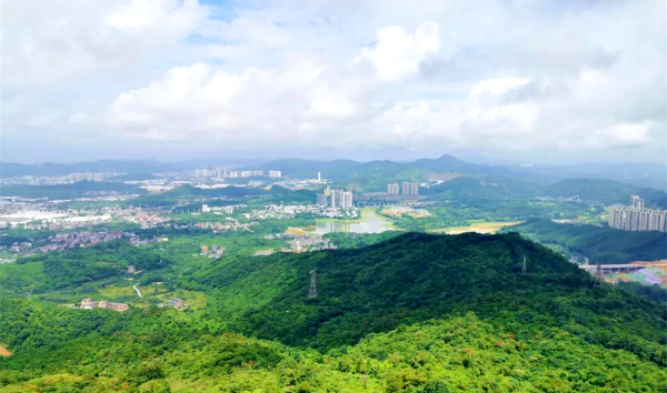 珠江弘阳时光荟_效果图_6