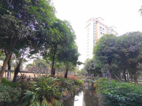 太平洋国际花园_效果图_6