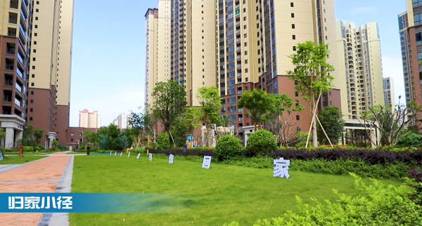 新河中央_实景图_4