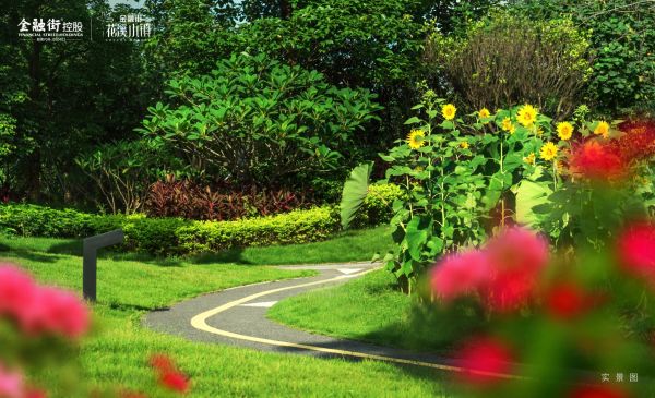 花溪小镇_实景图_14