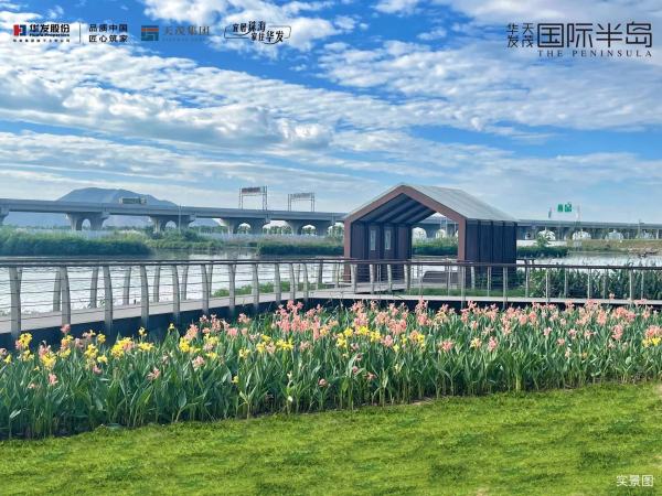 华发天茂国际半岛_实景图_1