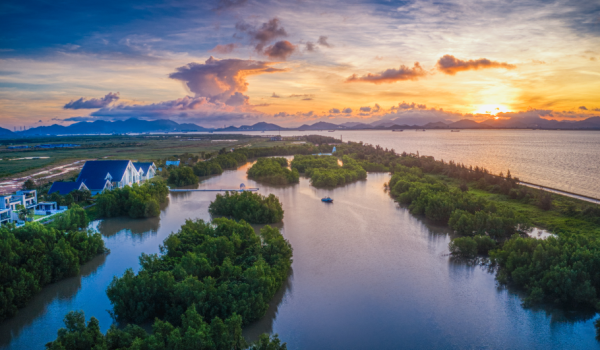 江门碧海银湖西岛花园_实景图_1