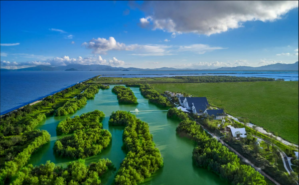 江门碧海银湖西岛花园实景图