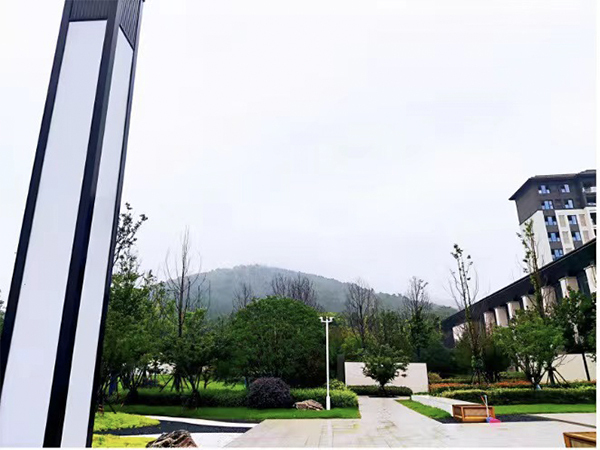 梧桐公馆_效果图_2