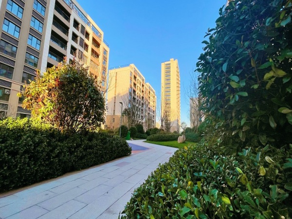 青州恒信弥水春风_实景图_6