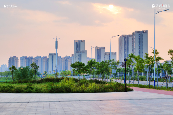 保利鹿江来_实景图_2