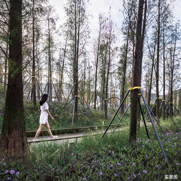 星樾山畔_实景图_9