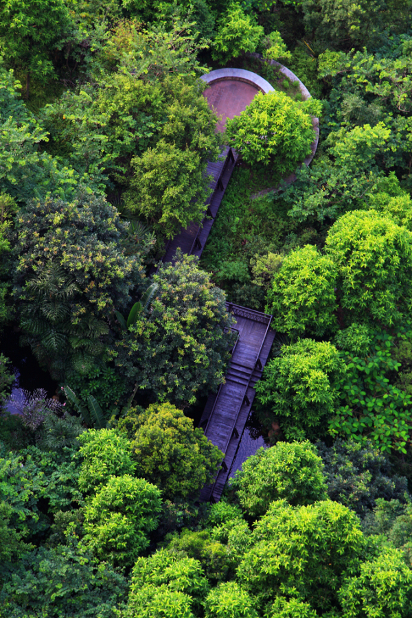 溪山美地_实景图_10