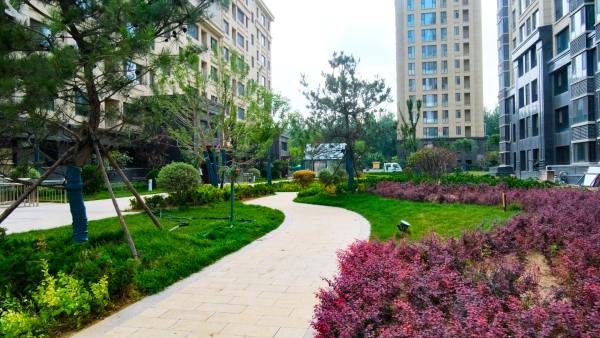 城投君悦府_实景图_6