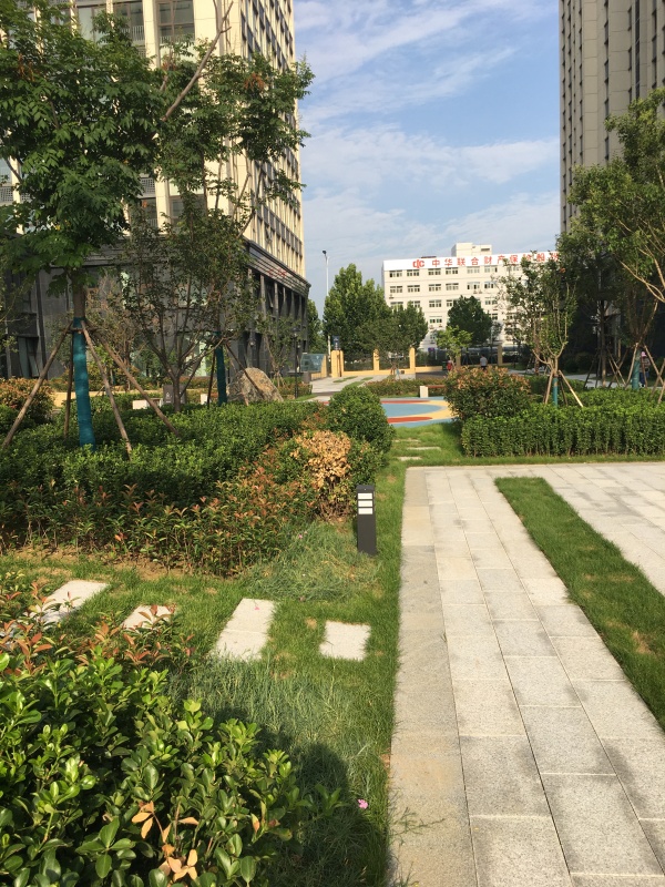 东方公馆_项目现场_4