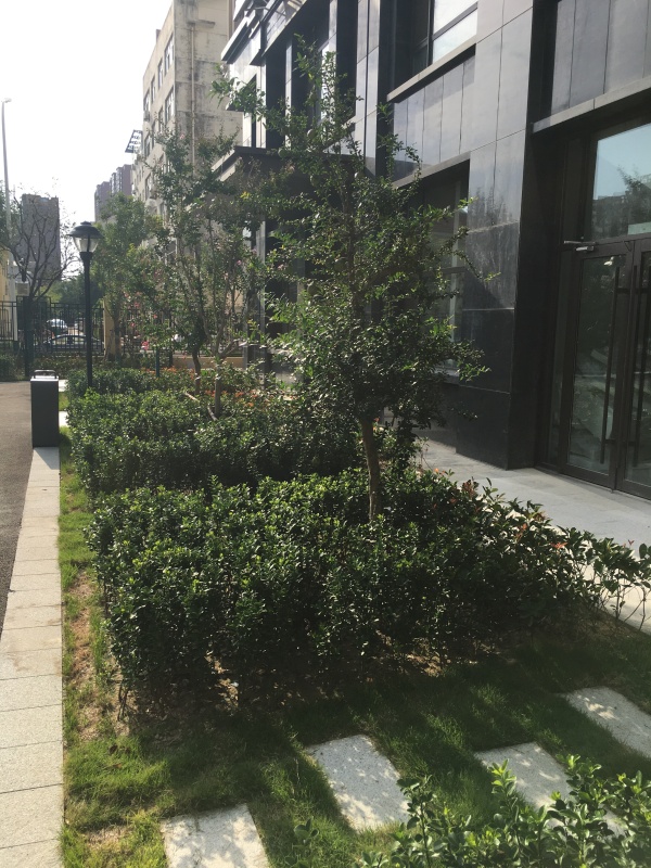 东方公馆_项目现场_5