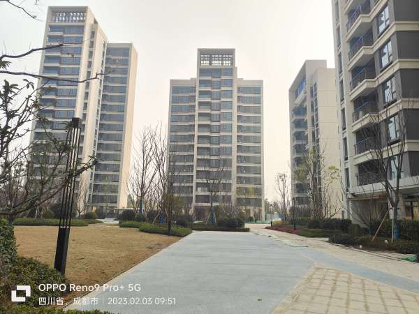 城投置地·观澜东著_项目现场_1