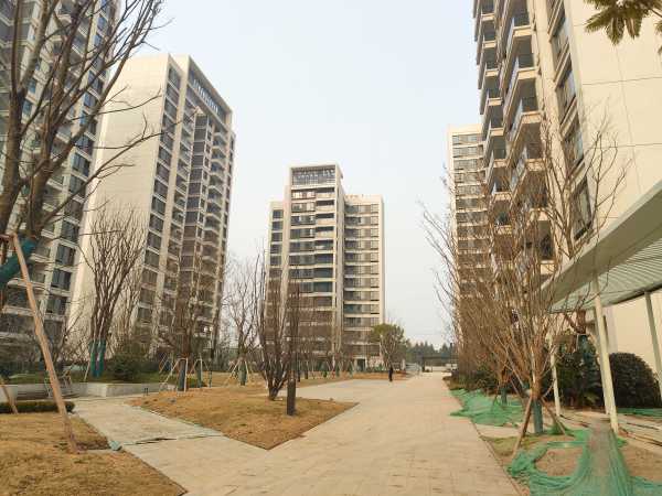 城投置地·观澜东著_项目现场_2