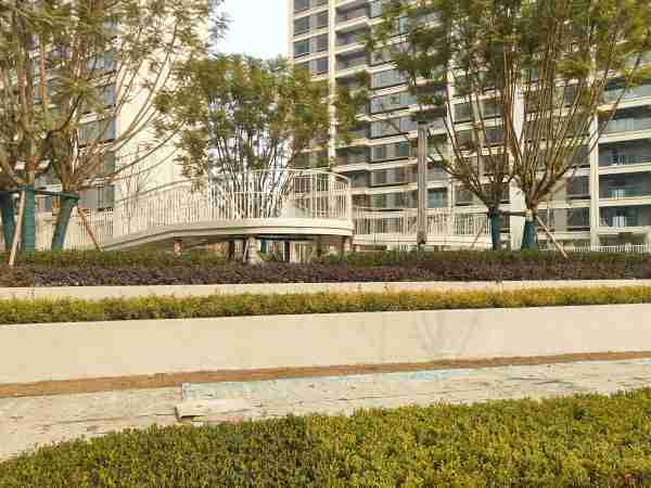城投置地·观澜东著_项目现场_4